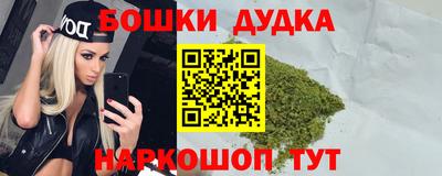 МДПВ Дубна