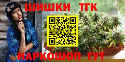 МДПВ Дубна
